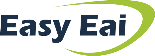 EASY EAI Store